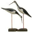 Black-necked Stilt Shore Bird Decoy